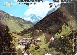 BINN Ofenhorn