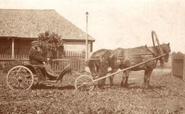 Foto eines Mannes auf Pferdekutsche (Buggy)