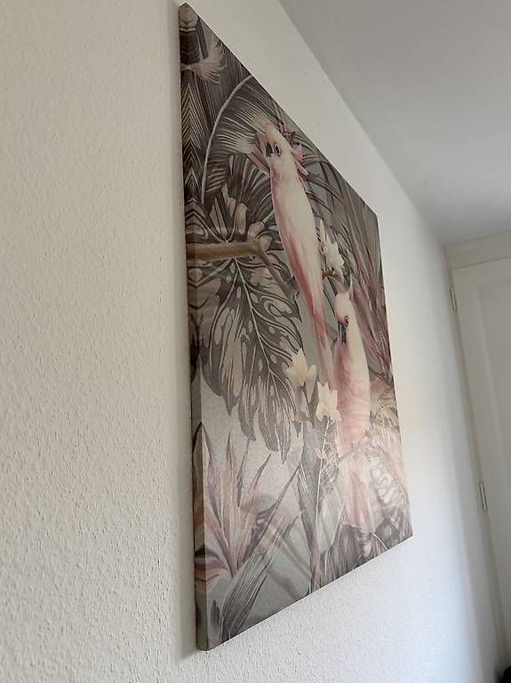 Foto & Immagini: Deko-Bild Papageien 100 × 100 cm – Usato da Bern venduto da Oliviadewi 1