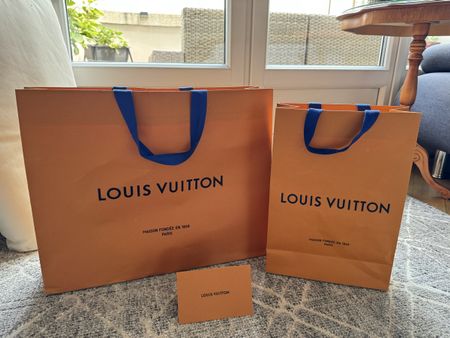 2 sacs Louis Vuitton