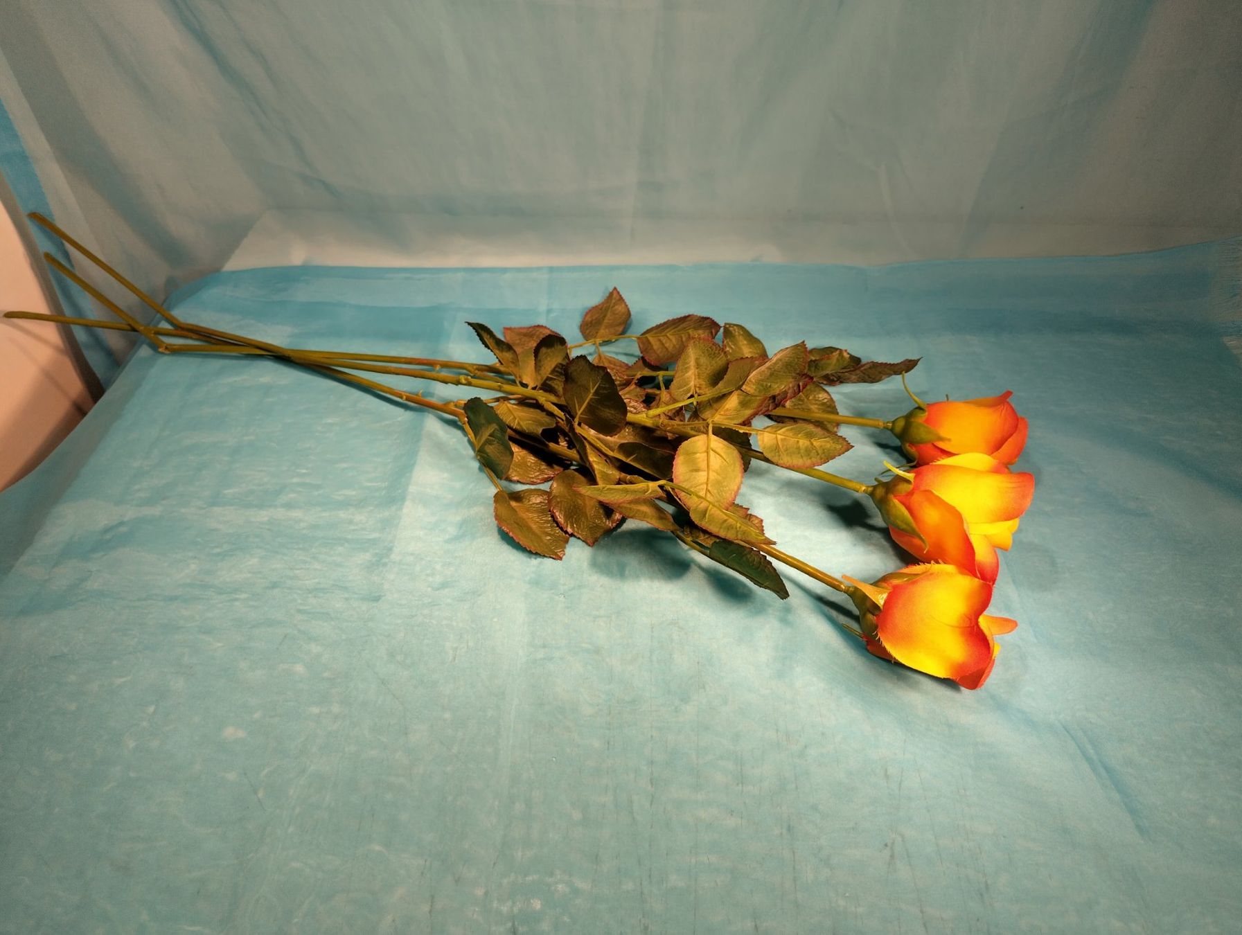 Pflanzen & Samen: 3 Rosen, orange-gelb, L: 70cm – Neu (gemäss Beschreibung) aus Bellach von JingleCherry 1