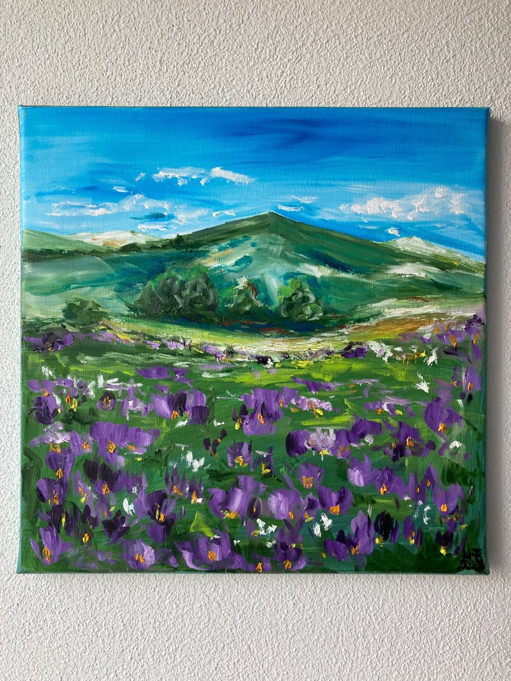 Dipinti: Berglandschaft mit Blumenwiese, Original Ölgemälde – Nuovo (secondo la descrizione) da Cham venduto da Felha