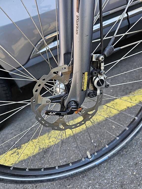 Biciclette: E BIKE  FLYER Next Generation 25 km/h – Usato da Zug venduto da abv_9t5d 1