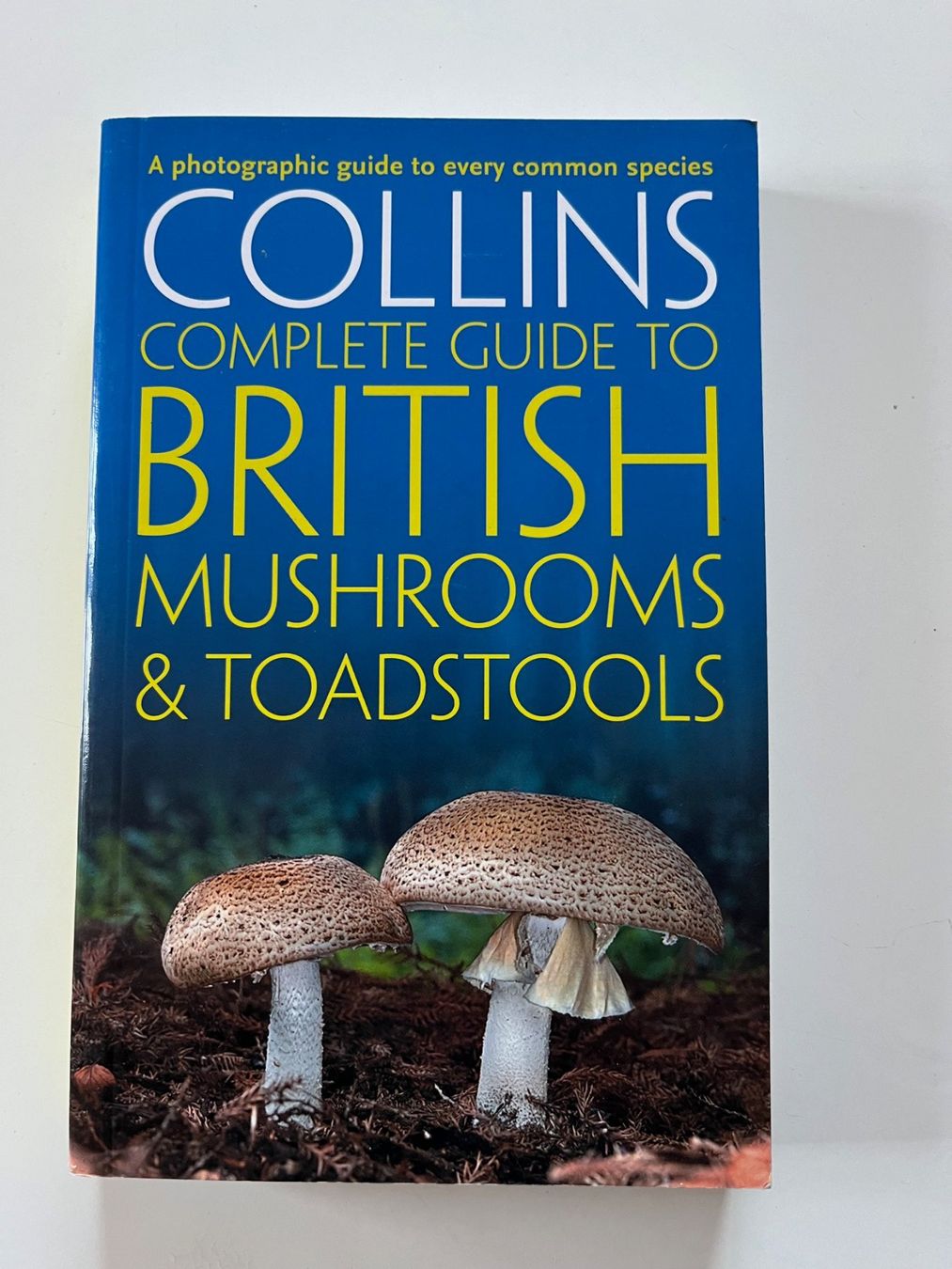 Libri: Collins Complete Guide to British Mushrooms Toadstools – Usato da Laufen venduto da Nuria44