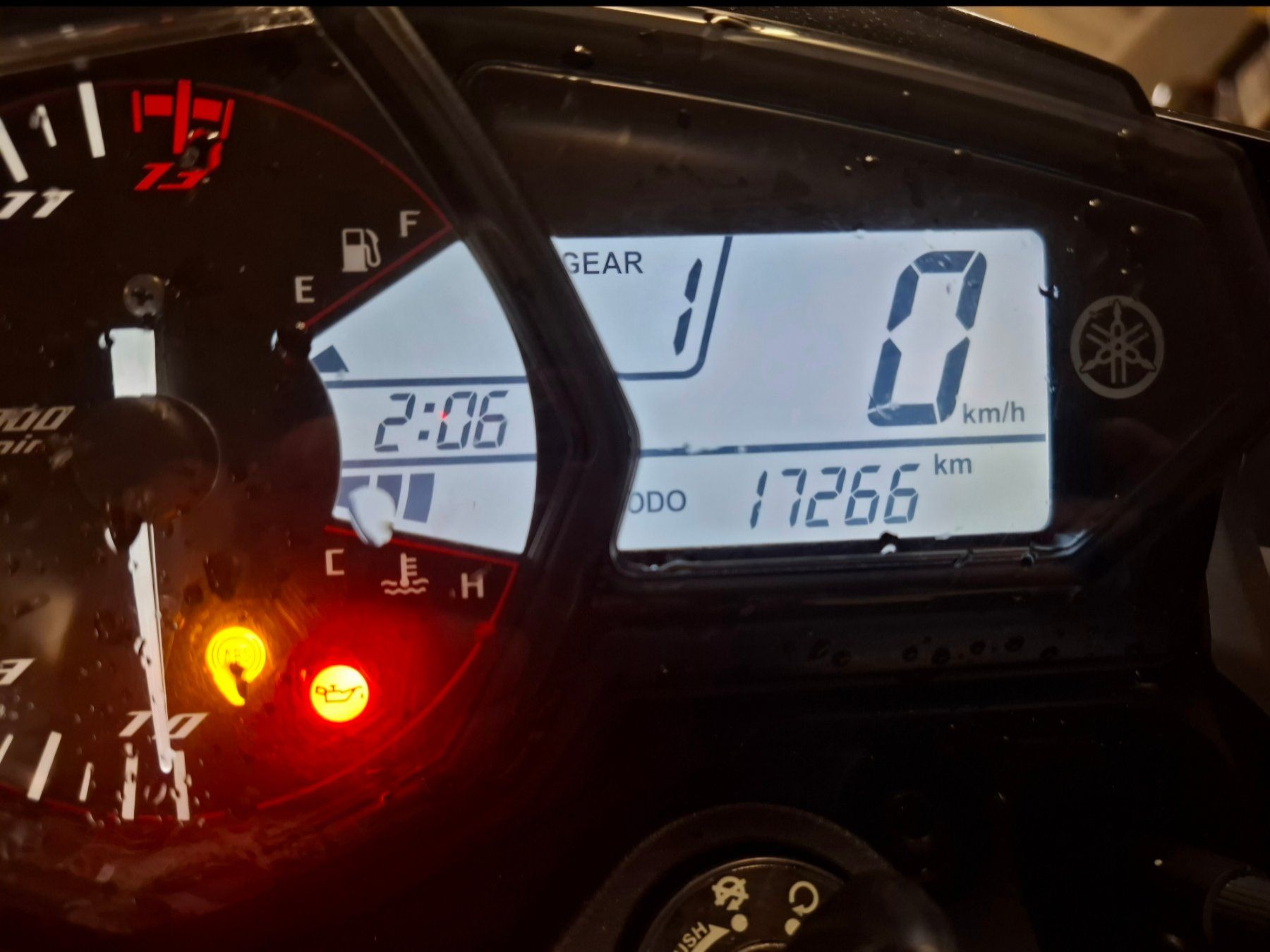 Yamaha Strasse: Yamaha MT-03 2018 – Gebraucht aus Lyss von mustang56 5