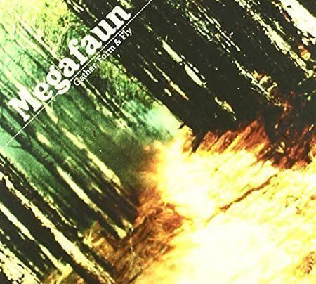CDs: Gather Form & Fly by MEGAFAUN – D'occasion à Altdorf UR par boardsofcanada