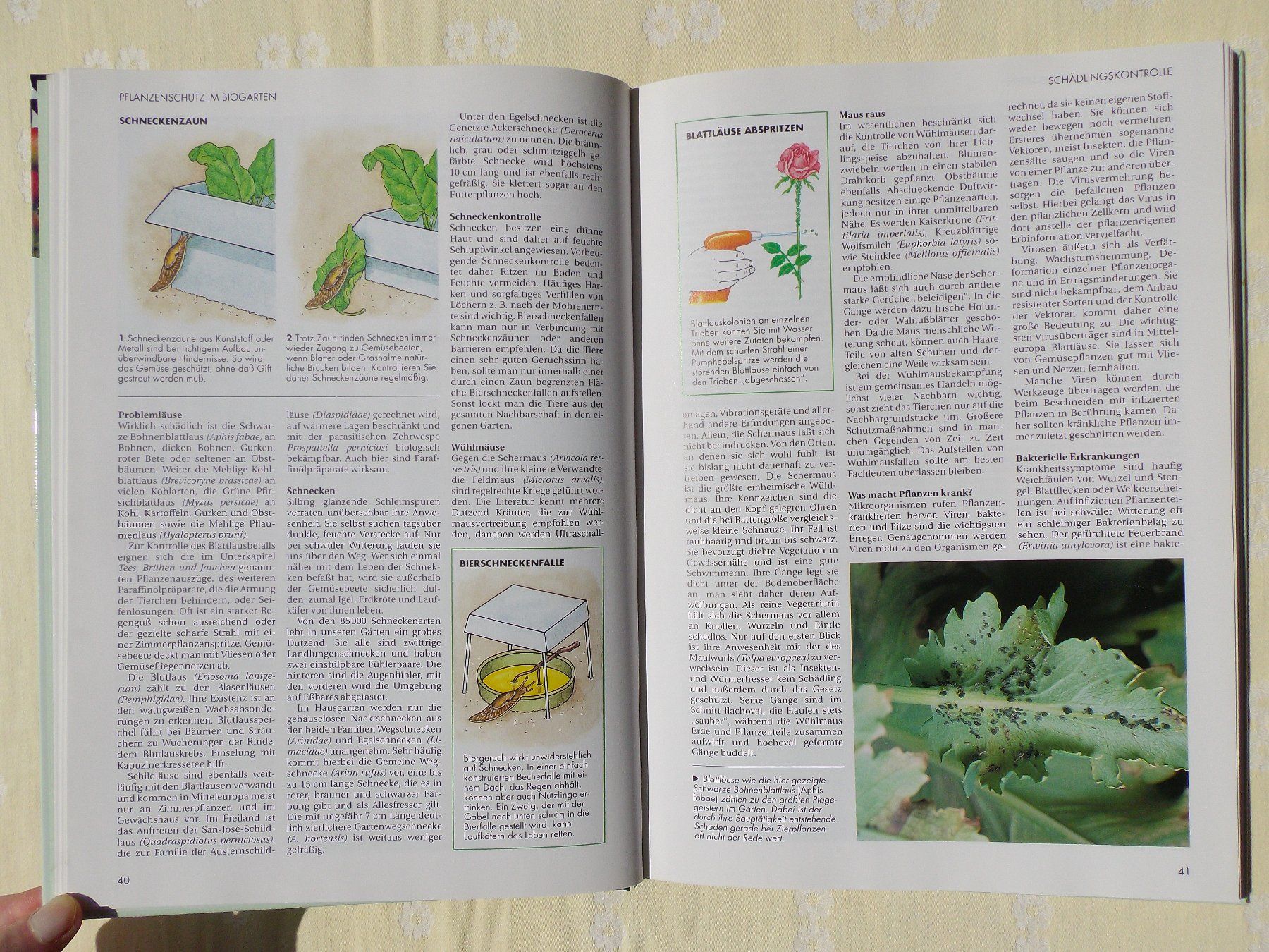 Libri: Der gesunde Biogarten - Das Beste – Usato da Uster venduto da urs_75by 4