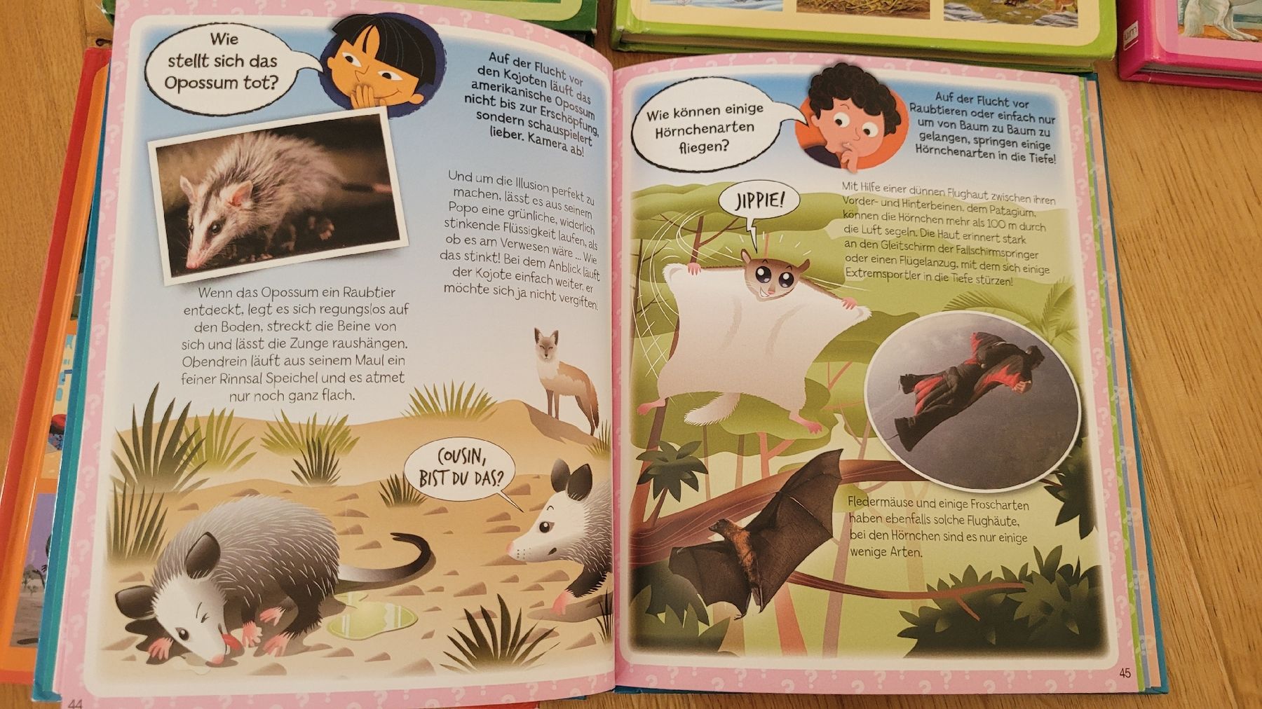 Libri: Bücherserie- Kinderwissen – Usato da Worb venduto da Sibille20 3