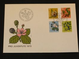 Pro Juventute FDC 1973 Nr. 244 - 247 Früchte des Waldes