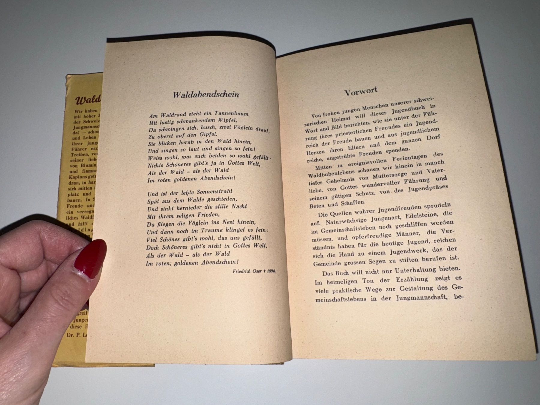 Libri: BUCH: Josef Konrad Scheuber, Waldbuben – Usato da Grosswangen venduto da Second_hand_paradise 4
