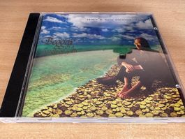 Mike & The Mechanics – Beggar On A Beach Of Gold