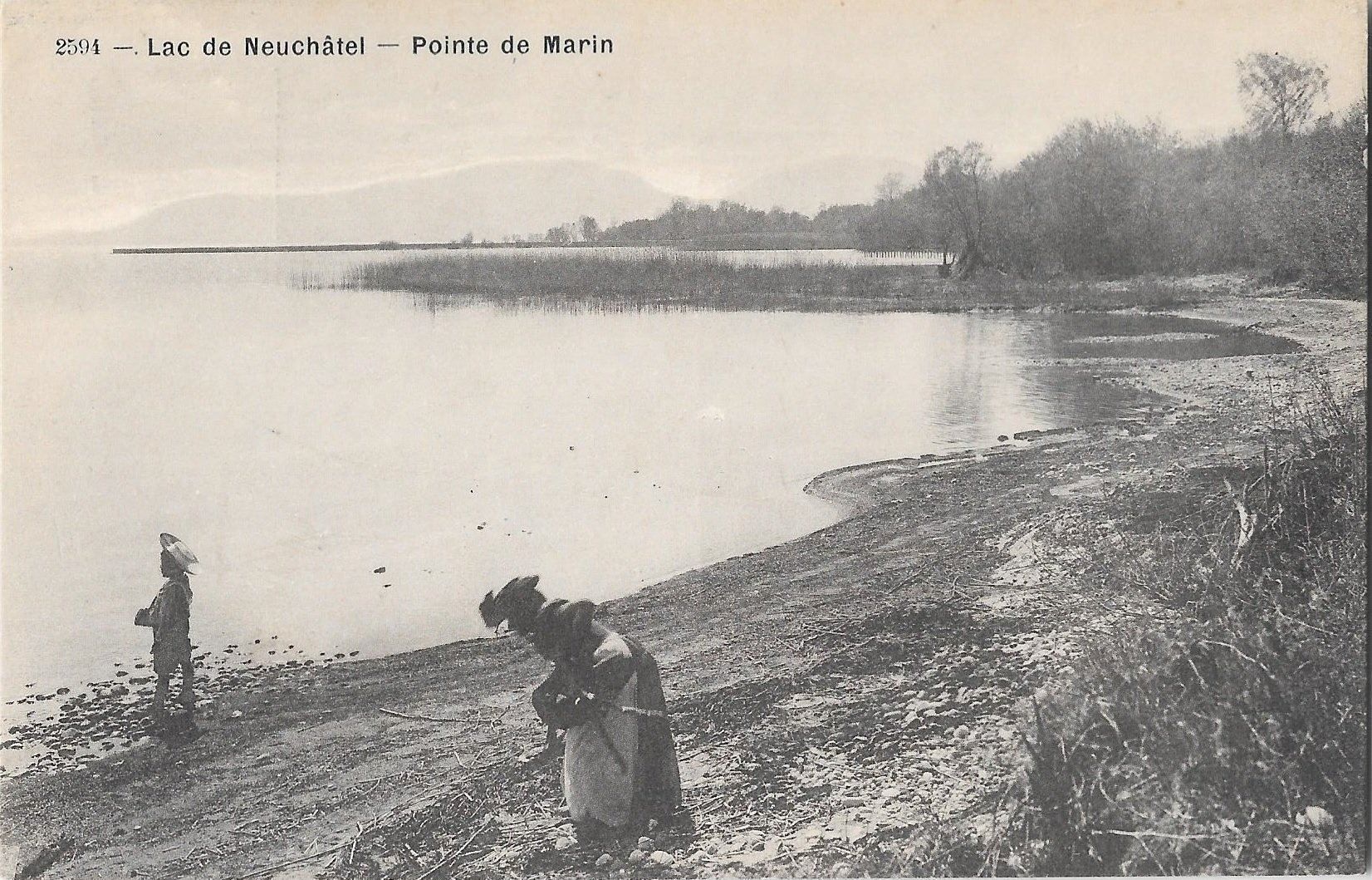 Ansichtskarten: Lac de Neuchâtel Pointe de Marin – Gebraucht aus Olten von clotaldi