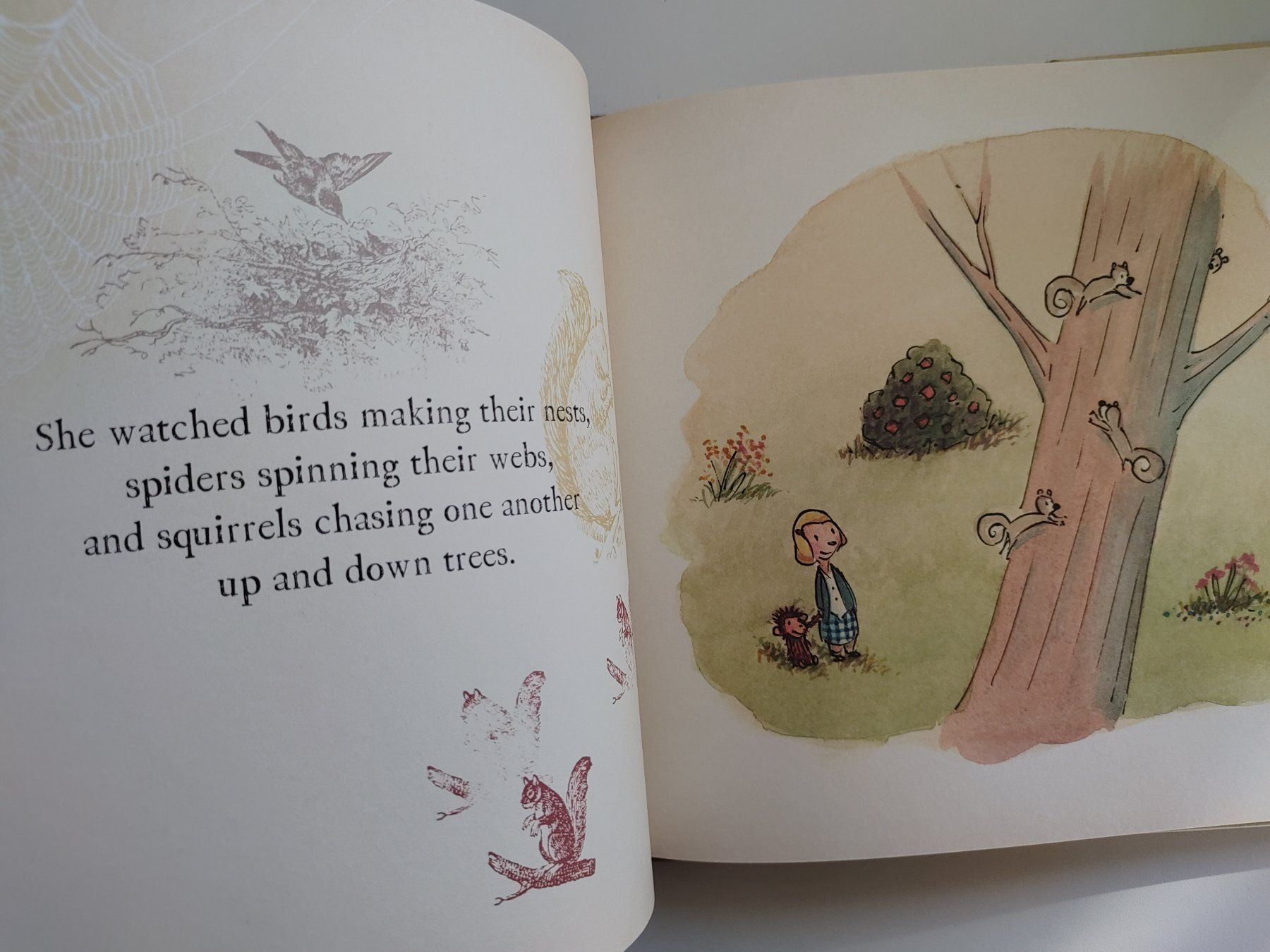 Livres: Children's Book: Me...Jane – D'occasion à Zürich par Mar_Mic 4
