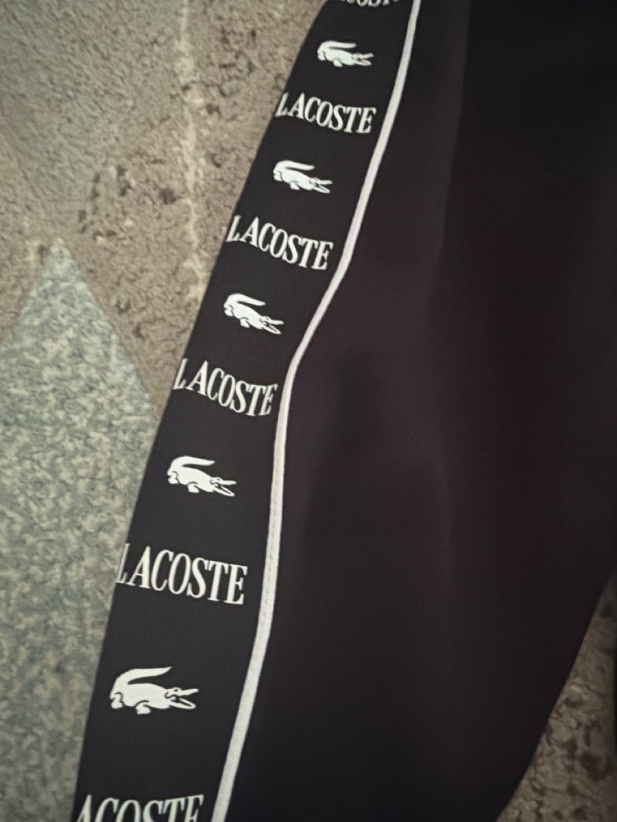 Lacoste Pulls & Sweat-shirts: Lacoste Pulli – Neuf avec emballage d'origine à Aarau par abi_9rtr 1