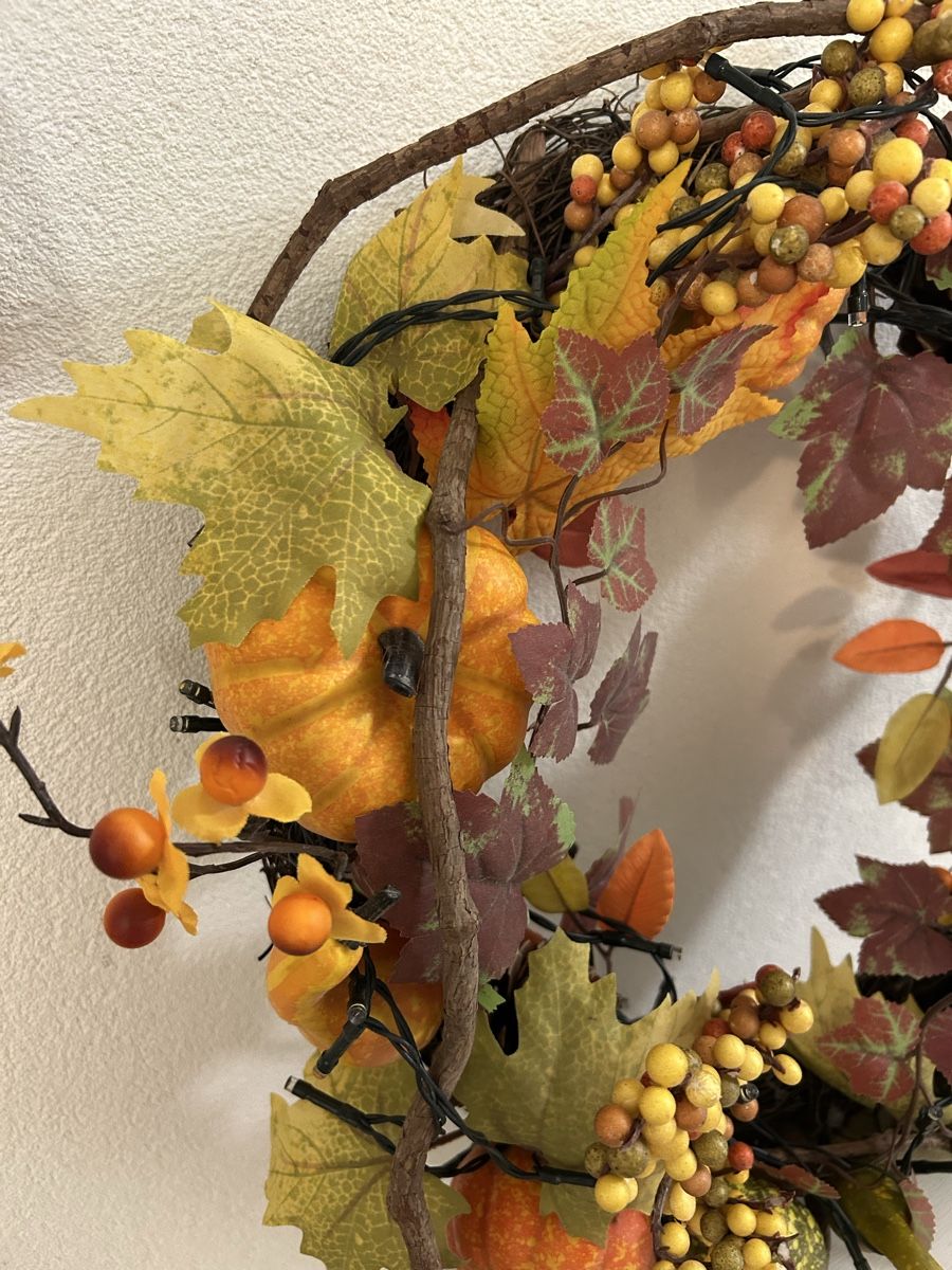 Tutte le decorazioni: Lot de décoration d’automne – Usato da Perroy venduto da MR6. 5
