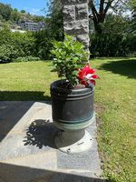 Grosser Pflanzkübel / Blumentopf mit Sockel inkl. Pflanze