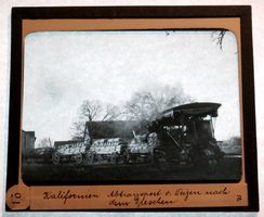 Glasdia USA Getreideernte - Abtransport von Weizen, um 1920