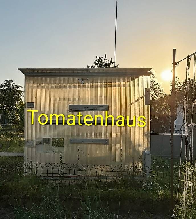 Casette da giardino & serre: Gewächshaus – Usato da Basel venduto da ner_5gnp 1