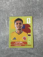 Panini FIFA Richard Rios COL 12
