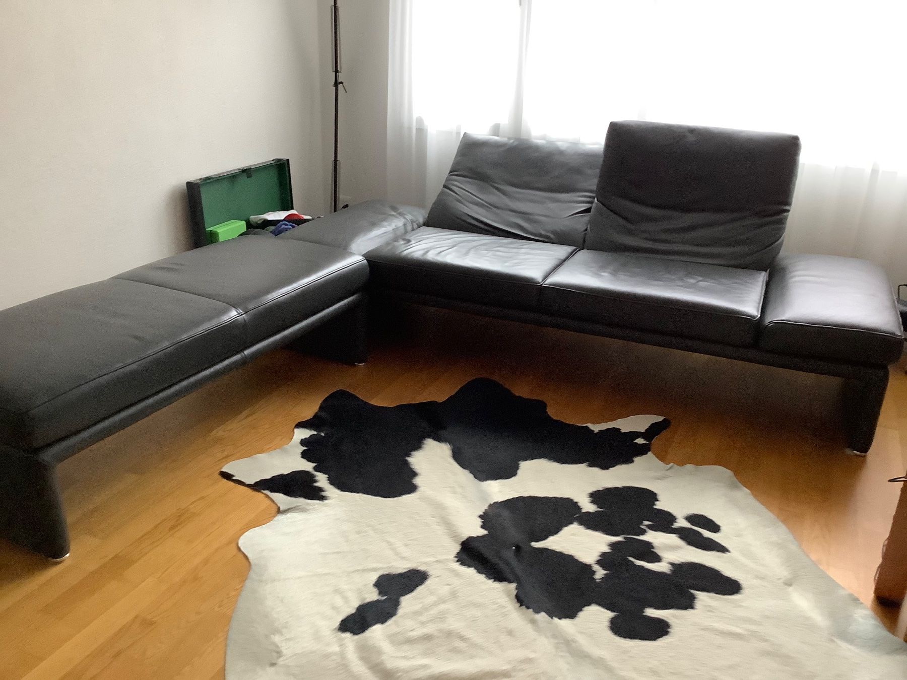 Divani: Sofa – Usato da Davos Wiesen venduto da Roseli21 5