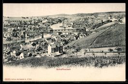 AK Schaffhausen, Ortsansicht am Rhein mit Brücken und Weinbe