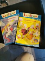 LeseLöwen Einhorngeschichten Elfengeschichten 2. Klasse