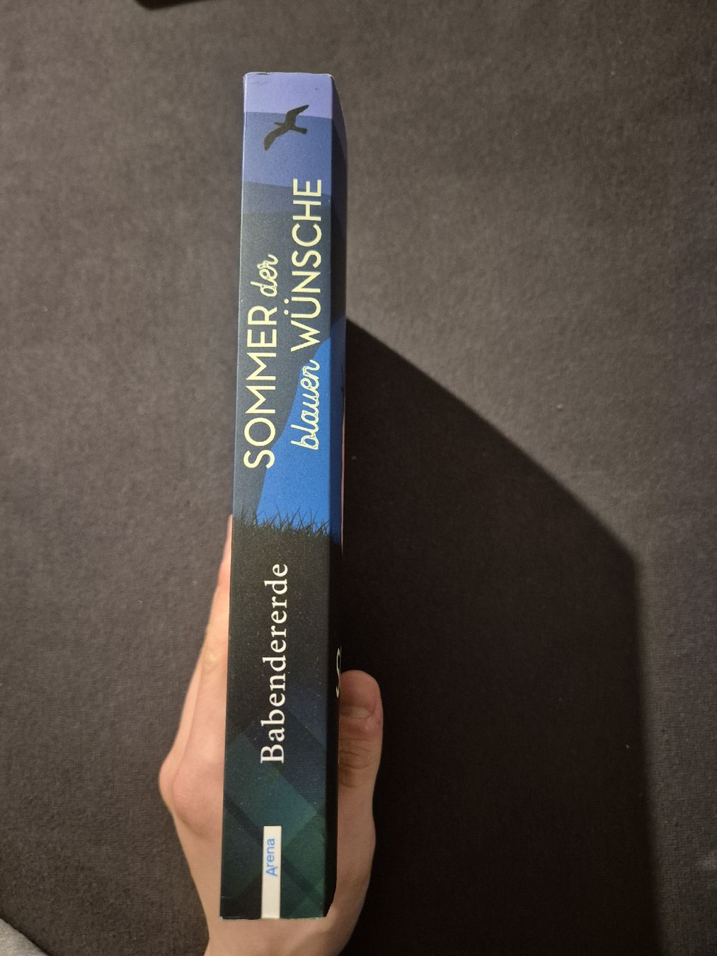 Bücher: Antje Babendererde - Sommer der blauen Wünsche – Neu (gemäss Beschreibung) aus Nürensdorf von luc_9ksf 2
