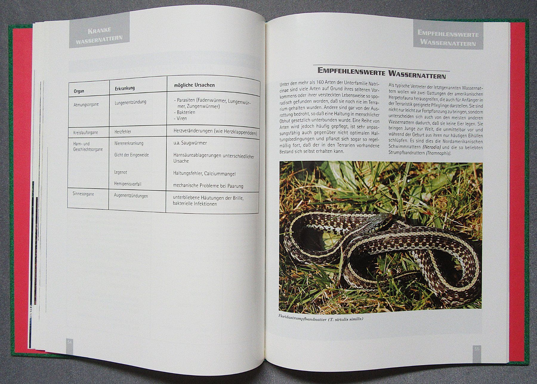 Libri: Wassernattern - Ratgeber von Dr. sc. Dieter Schmidt – Usato da Auenstein venduto da Padabimbim 8
