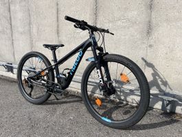 Naloo HILL BILL 24“ schwarz/blau