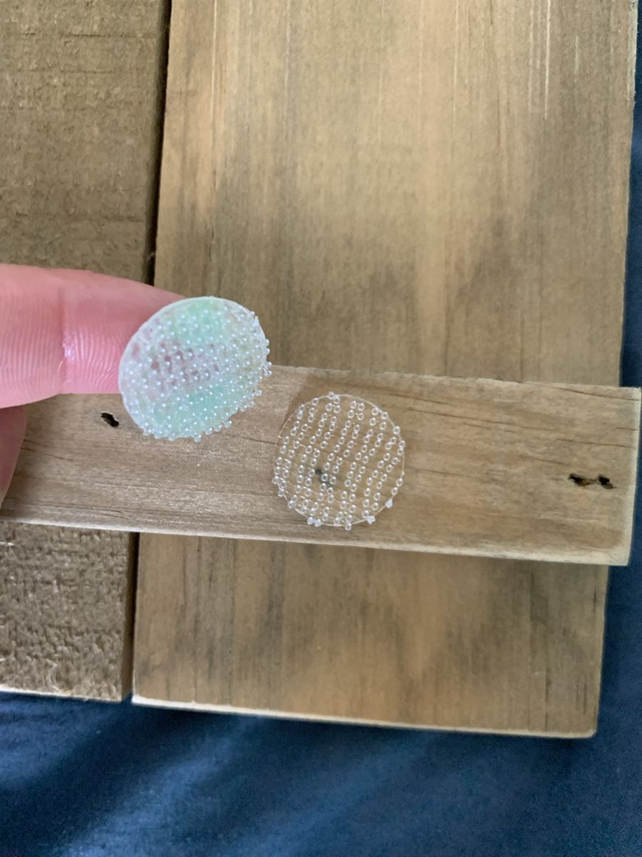 Foto & Immagini: Holzbilder mit Klettbefestiger – Usato da Luzern venduto da ano_h2k2 2