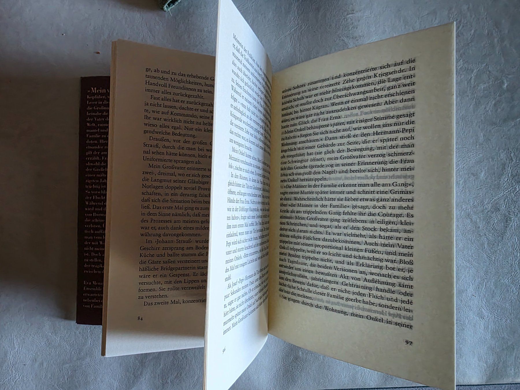 Libri: Eva Manesse - VIENNA - Roman - 2005 – Usato da Walterswil BE venduto da Lonitti 4
