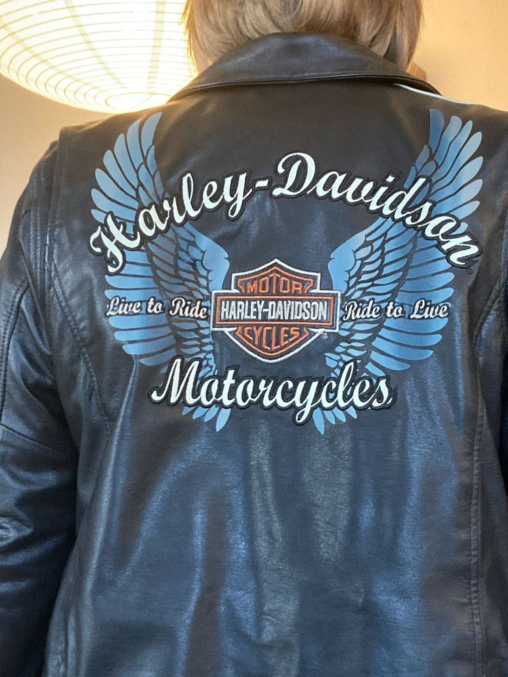Harley-Davidson Giacche: Motorradjacke Leder Harley Davidson – Usato da Auenstein venduto da brugdy