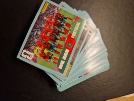 Panini WM 2026 100 Stück DE Version Lot 6