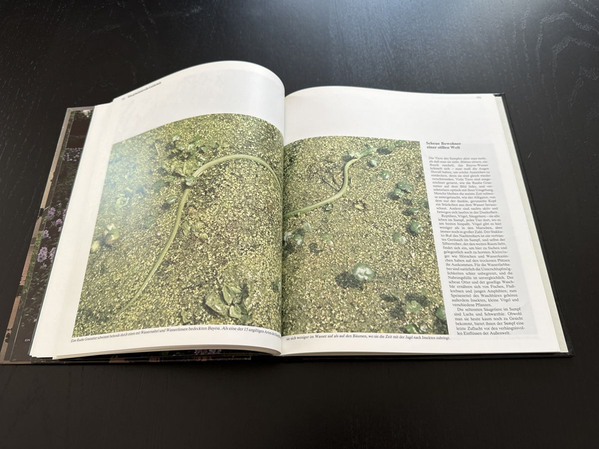 Libri: Das Mississippi Delta – Usato da Erstfeld venduto da Uhu1980 3