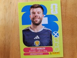 Panini FIFA World Cup SCO 10