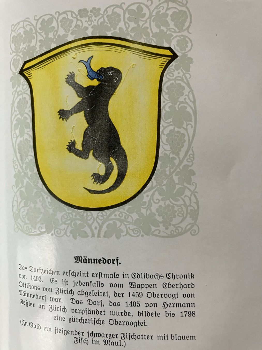 Libri: Carl Bindschedler, Männedorf – Usato da Männedorf venduto da Amleto3 8