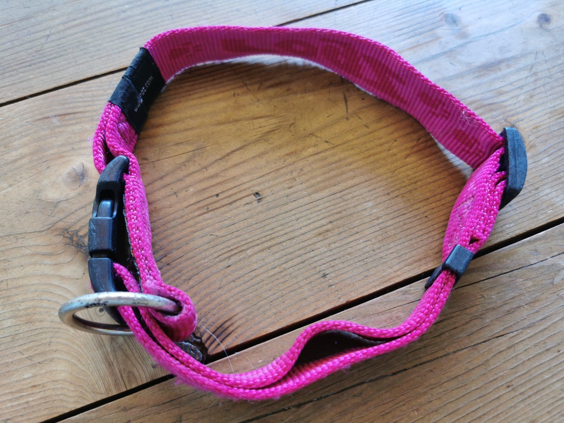 Guinzagli & Collari: Hundehalsband – Usato da Wettingen venduto da Nini54 1