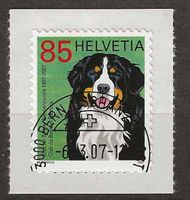 M1227 - Bouvier bernois 1er jour