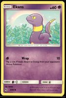 Ekans (HIF EN 25/68)