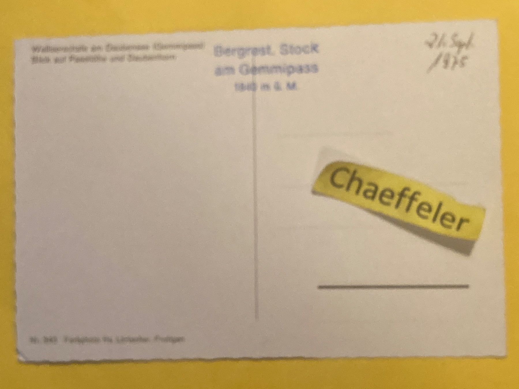 Cartoline postali: 1975 Walliserschafe am Daubensee. Blick auf Passhöhe und – Usato da Zürich venduto da Chaeffeler 1