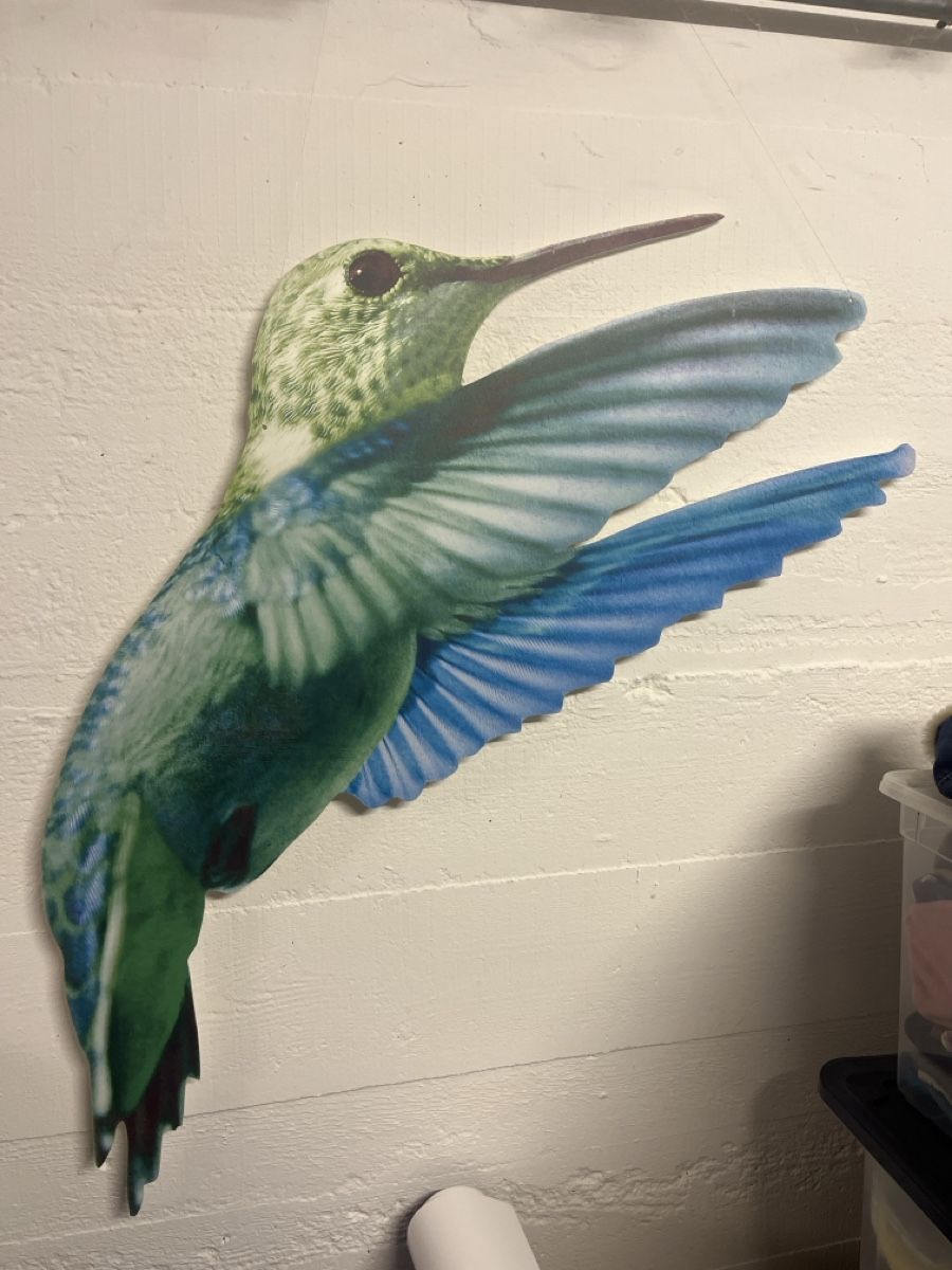 Foto & Immagini: 2 grosse Kolibris Wandbilder Deko – Usato da Bellach venduto da jba03 1