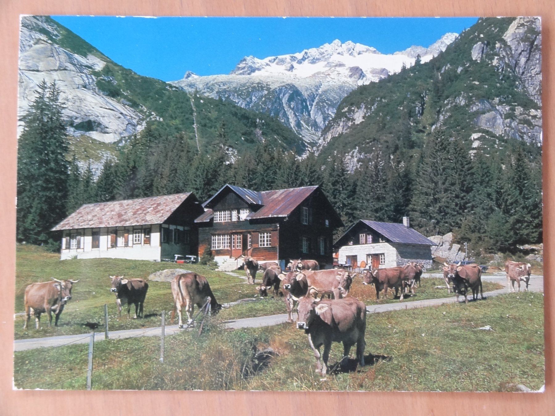 Cartoline postali: Guttannen BE, Idéal Hotel Handeck - 1989 – Usato da St Léonard venduto da Riglin