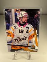 252 Jeremy Wick HC Ajoie SportZoo 2025/26