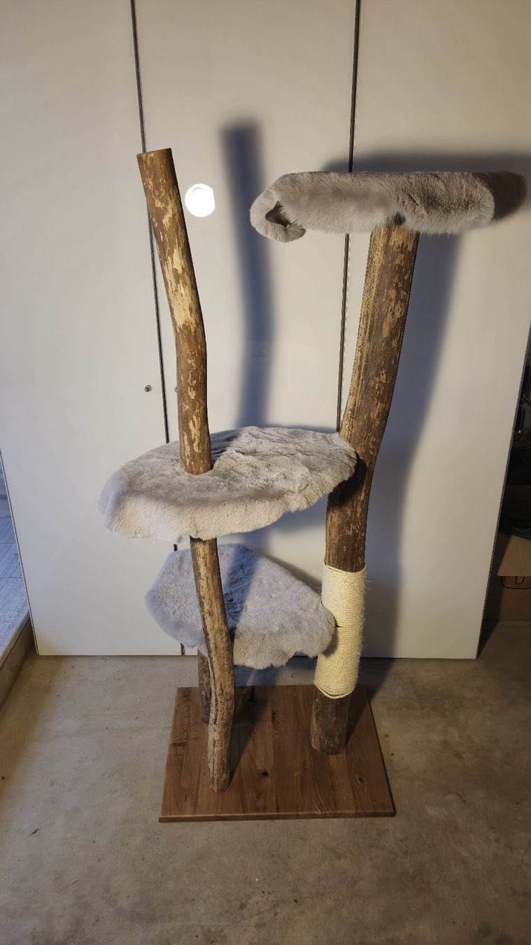 Tiragraffi: Natur Katzenbaum/ Kratzbaum – Nuovo e nell'imballaggio originale da Appenzell Meister. venduto da Morize98