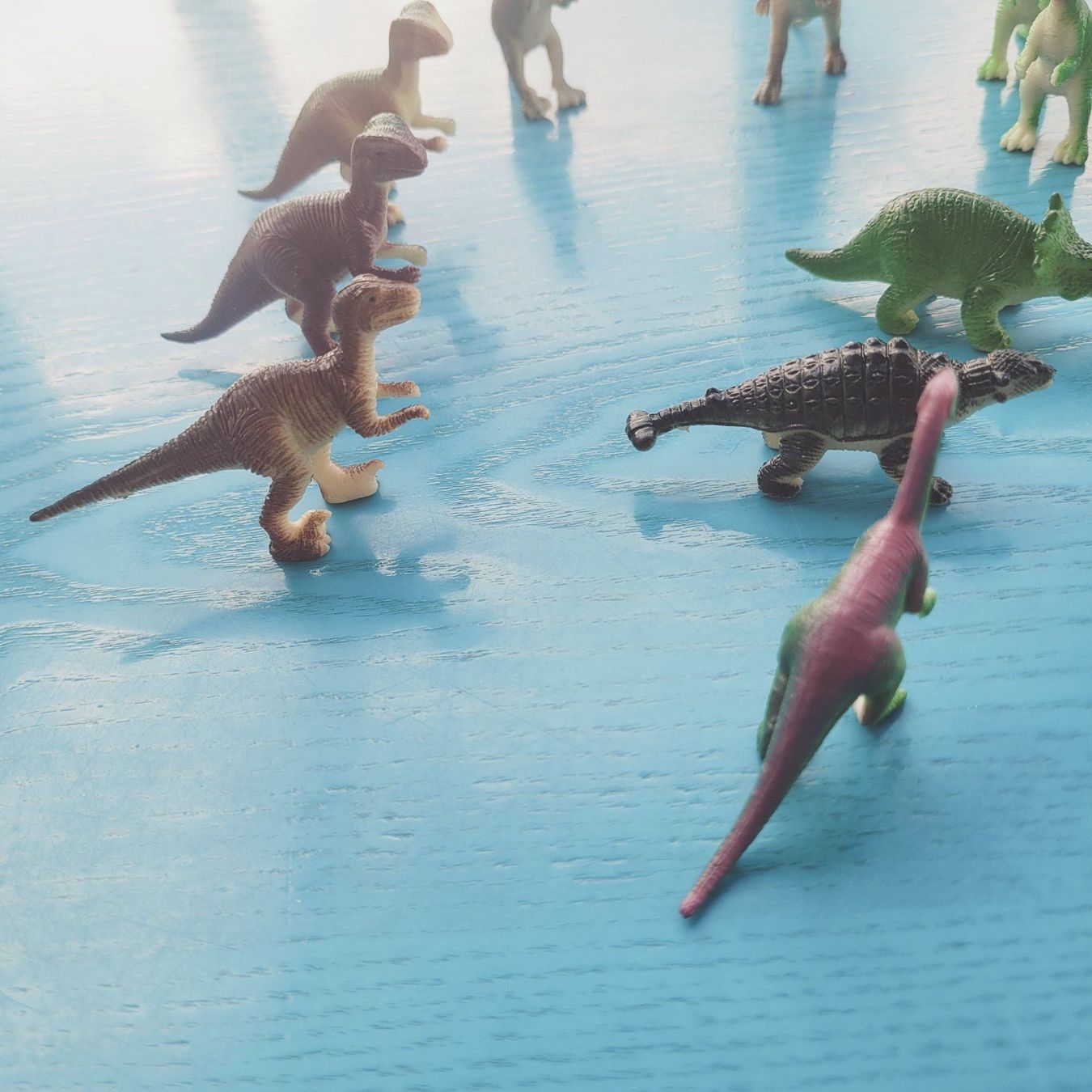 Giocattoli: 11 Dinosaurier / Kunststoff – Nuovo e nell'imballaggio originale da SCHÜBELBACH venduto da CoKaHa 1