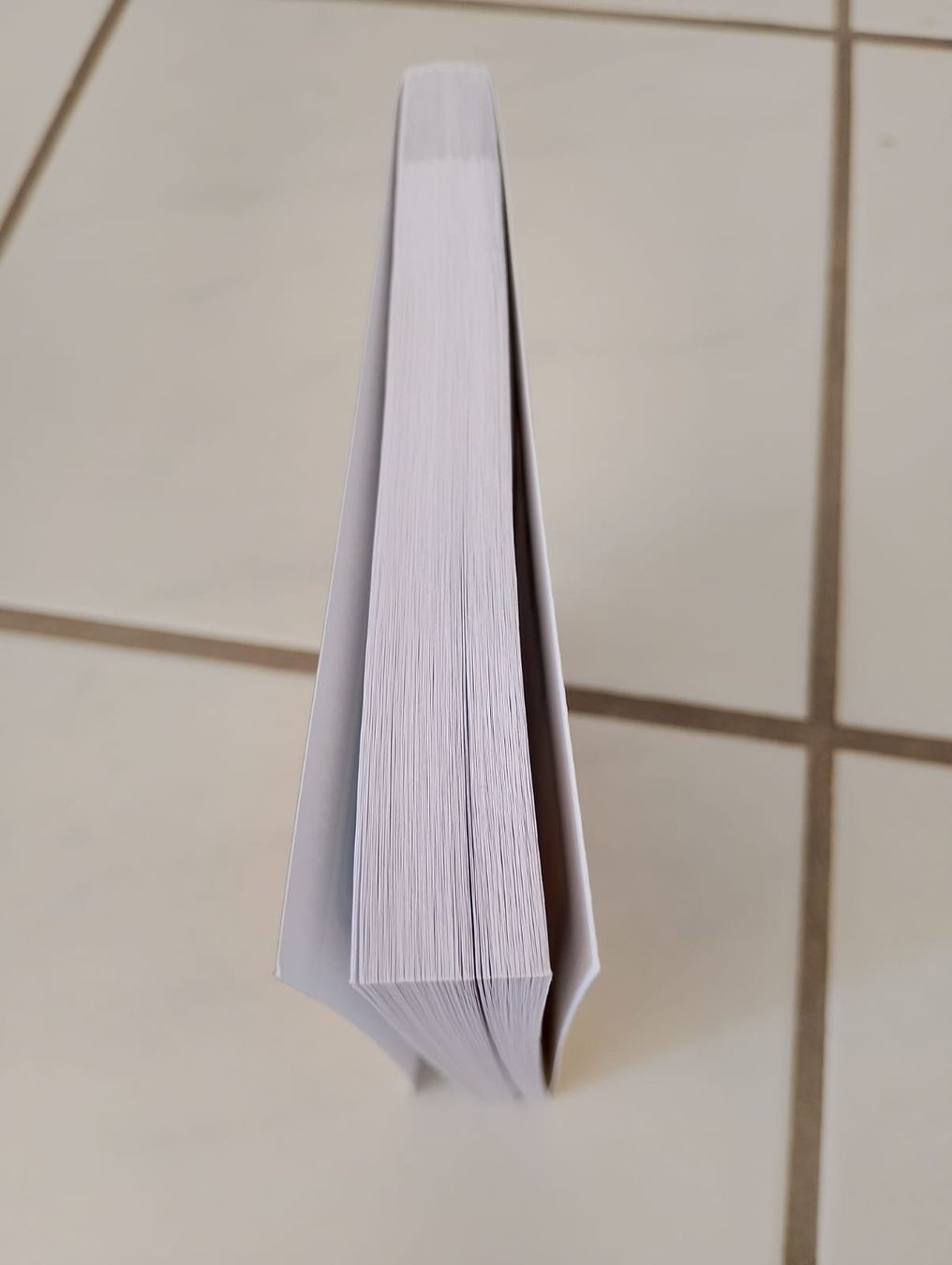 Bücher: No Fear Shakespeare - Much ado about nothing – Gebraucht aus Ehrendingen von 2Guagua2 2