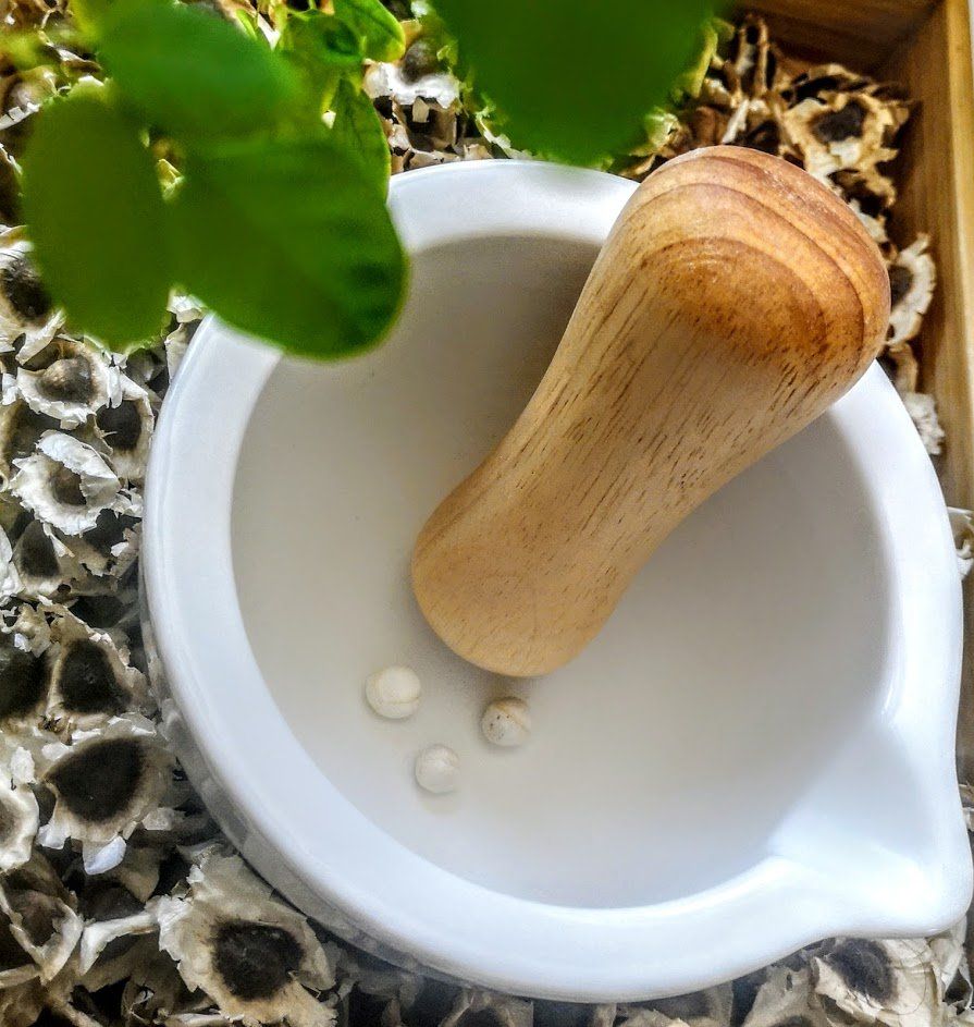 Piante & sementi: Moringa Samen oleifera PKM1 – Nuovo (secondo la descrizione) da Luzern venduto da ivo_schild 7