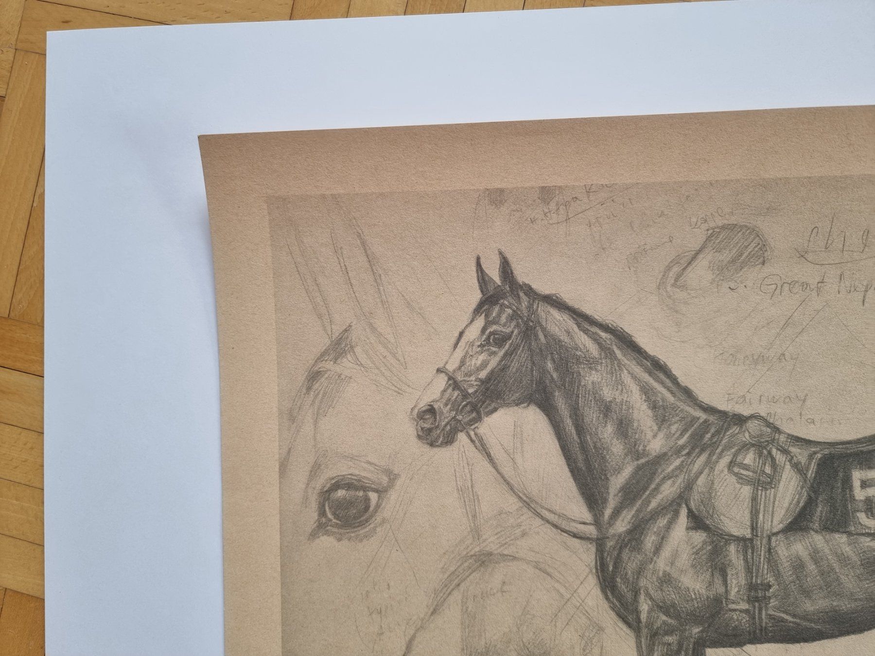 Grafica & Litografie: Klaus Philipp Kunstdruck  Shergar – Nuovo (secondo la descrizione) da Arosa venduto da horseracing 1