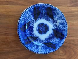 Antiker Teller „Bryonia“ Villeroy & Boch / U&C Sarreguemine