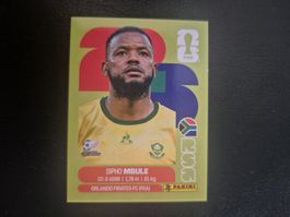 Panini WM 26 RSA 16